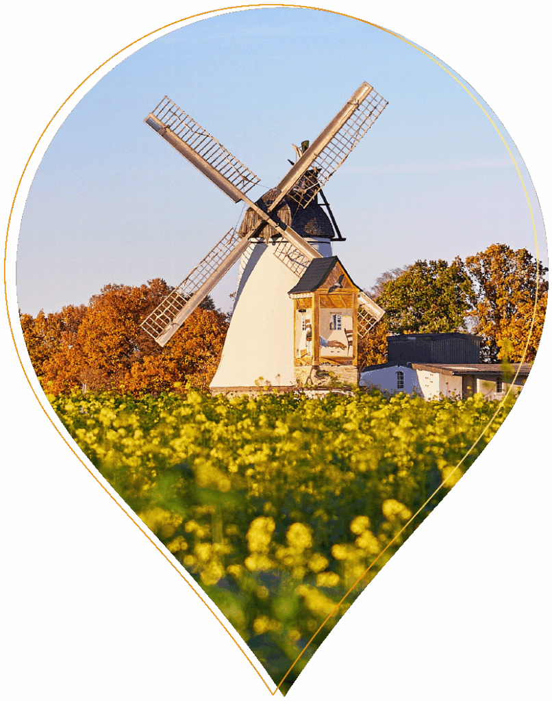 Eine traditionelle Windmühle steht in einem gelben Blumenfeld mit bunten Herbstbäumen im Hintergrund, unter einem klaren blauen Himmel, umrahmt von einer Karte in Form einer Stecknadel.