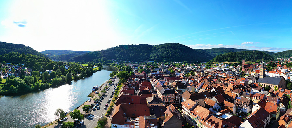 Der Panoramablick auf Eberbach, eine Stadt mit roten Dächern entlang eines Flusses, umgeben von grünen Hügeln und Bäumen unter einem strahlend blauen Himmel, fängt den Charme der Region Rhein-Neckar-Odenwald ein, der Heimat von Matthias Wöhr - Sofiapflege.