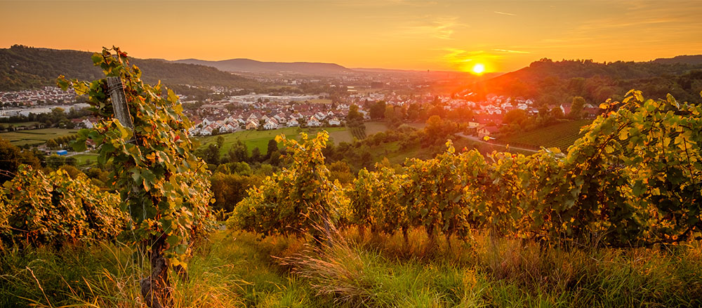 Ein Weinberg bei Sonnenuntergang mit Blick auf ein Tal mit grünen Feldern, einer kleinen Stadt und fernen Hügeln unter einem orangefarbenen Himmel erinnert an die heitere Schönheit, die Michael Röder - Sofiapflege Östliches Remstal - eingefangen hat.
