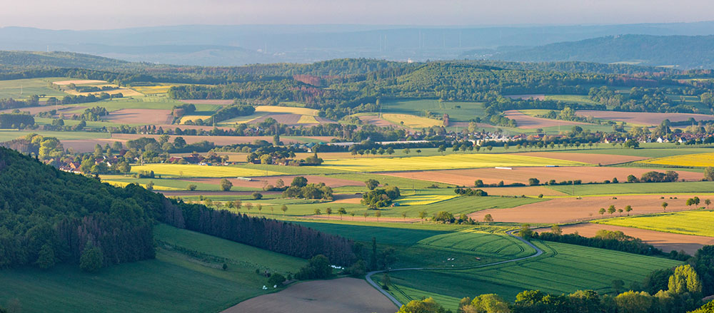 Ein Panoramablick auf das Weserbergland, eine ländliche Landschaft mit bunten Feldern, sanften Hügeln, verstreuten Bäumen und kleinen Häusergruppen, alles in weiches, natürliches Licht unter einem klaren Himmel getaucht.