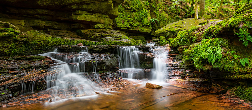 Kleine Wasserfälle ergießen sich über moosbewachsene Felsen in einem üppigen, grünen Wald. An den Rändern wachsen Farne und Pflanzen, und das Sonnenlicht dringt durch die Bäume und schafft eine heitere und lebendige Naturszene.