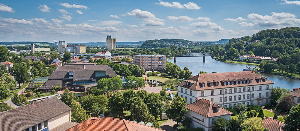 Eine malerische Ansicht einer Stadt am Flussufer mit roten Dächern, üppig grünen Bäumen, einer Brücke über den Fluss und Hügeln im Hintergrund unter einem blauen Himmel mit vereinzelten Wolken.